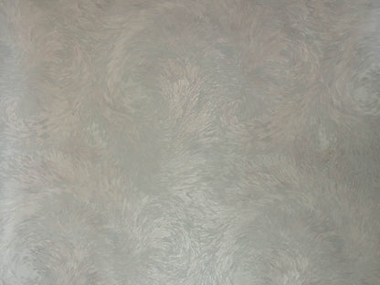 BND10207